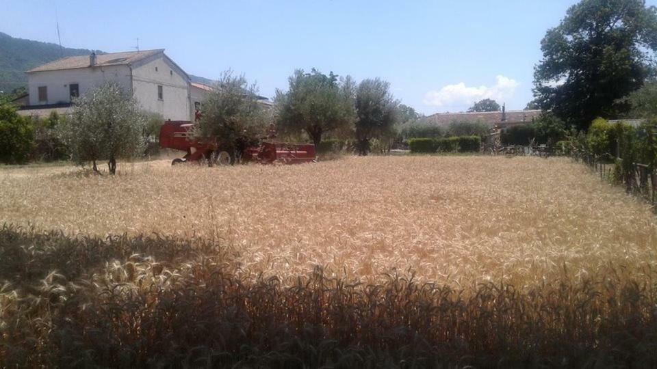 Agriturismo Tre Santi Villa Padula Exterior photo